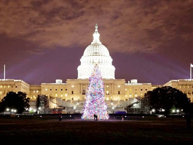Washington, DC Holiday Lights Tour